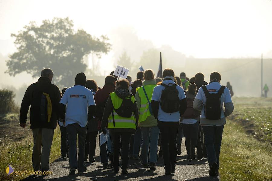 Nom de l'image : D30083078_1_(c)Norbert-JUNG — Description :